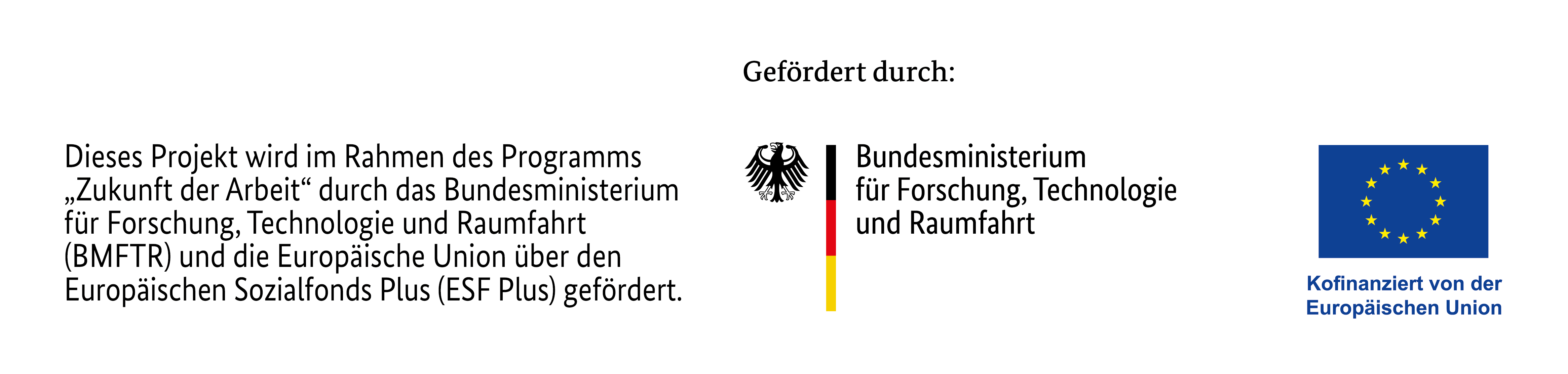 Förderlogo BMFTR